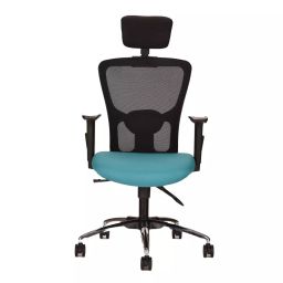 Teal Zenith Pro High Back Ergonomic Mesh Office Chair (Teal Green)-image-15