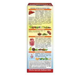 ALLEN Set Of 2 Livosin Syrup - No Added Sugar-250 ml Each image 3
