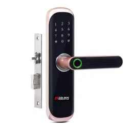 GOLENS Premium Digital Door Lock 5 Way To Unlock Biometric Black Bronze Finish, X3-10