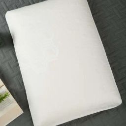 HOSTA HOMES Cream Cotton Bamboo Fabric Memory Foam Medicated Pillow-45
