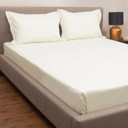 Petal Home Ivory 300 TC Cotton King Bed Sheet with 2 Pillow Covers-image-18