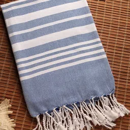 Myntra Elegant Homes Blue & White Set of 1 Striped Pure Cotton Bath Towel-picture-12
