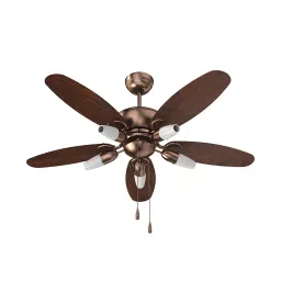 Polycab Superia Lite SP02 3 Star Antique Copper Rose Wood 1200 mm Ceiling Fan-image-24