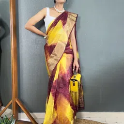 DIVASTRI Ombre Zari Organza Kanjeevaram Saree-image-19