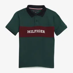 Tommy Hilfiger Kids Green Cotton Regular Fit Logo Printed Polo T-Shirt-picture-38