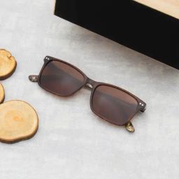 Ted Smith Brown Wayfarer Polarized Unisex Sunglasses-image-37