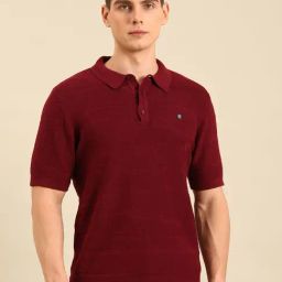 Linen Club Maroon Linen Slim Fit T-Shirt-image-20