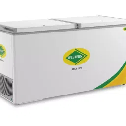 WESTERN 454 L Double Door White Hard Top Deep Freezer, NWHD425H-HC-32