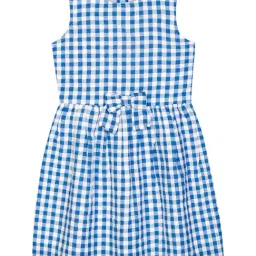 Budding Bees Kids Blue & White Checks Dress-image-31