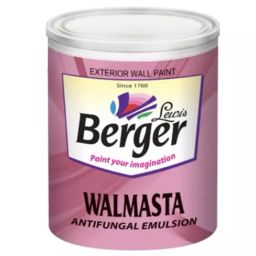 Berger Walmasta 20 L White Exterior Emulsion, 293-picture-20