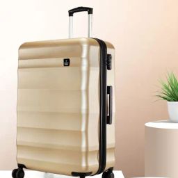 Nasher Miles Rome Hard-Sided Polycarbonate Check-In  Bronze 28 inch |75cm Trolley bag-image-38