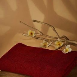 Fabindia Home Standalone Red Cotton 570 GSM Woven Face Towel - Set of 2-image-11