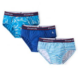 Pine Kids Cotton Spandex Knit Briefs With Stripes & Dino Print Pack of 3 (Color & Print May Vary)-image-79