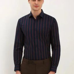 Allen Solly Navy Cotton Slim Fit Striped Shirt-image-30