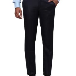Raymond Blue Slim Fit Self Pattern Trousers-image-79