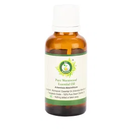 R V Essential Pure Wormwood Essential Oil- 50 ml-picture-14