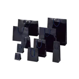 AS ONE Bright Bag Coated Paper With PP Handle, 61-314-4-15 (Pack of 50)-19