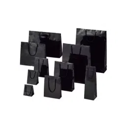 AS ONE Bright Bag Coated Paper With PP Handle, 61-314-2-15 (Pack of 50)-34