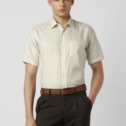 Van Heusen Beige Cotton Regular Fit Striped Shirt-image-56