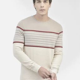 Crimsoune Club Beige Regular Fit Striped Sweatshirt-image-79