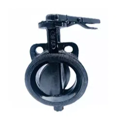 Real Valves Lug Butterfly Valve 203.2 mm (8 Inch) Cast Iron, RV 12-image-49