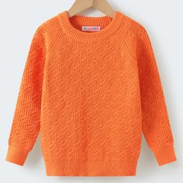 Kookie Kids Knit Full Sleeves Pullover Sweater with Cable Knit Design - Orange-picture-19