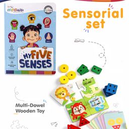 Intelliskills My Five Senses Book with Sorter & Stacker Combo-19