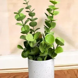 De Gardenia Eucalyptus Artificial Plant With Pot-picture-44
