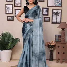 Rhey Embellished Organza Saree-picture-29
