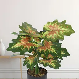 Home Bloom Green 1 Pieces Artificial Plant With Pot-14
