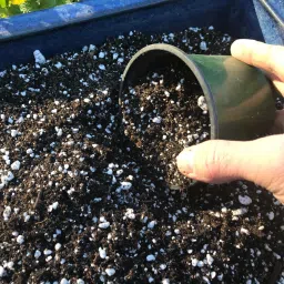 Enriched Premium Organic Potting Mix with Required Fertilizers for Plant Potting Mixture-picture-27