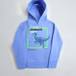 Cherry Crumble Boys Graphic Printed Hooded Pullover-image-35
