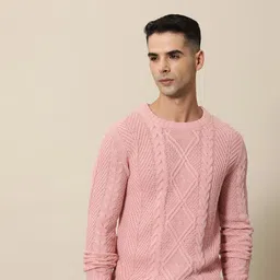 Mr Bowerbird Men Solid Cable Ribbed Tailored Fit Pullover-image-49