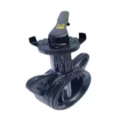 Real Valves Lug Butterfly Valve 76.2 mm (3 Inch) Cast Iron, RV 09-picture-22