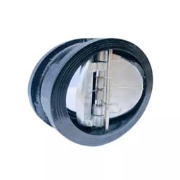 Real Valves Dual Plate Check Valve 2 inch Cast Iron, RV 14-image-68