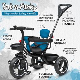 fab n funky Plug & Play Tricycle With Parental Push Handle & Cushion Seat Guardrail - Blue image 4