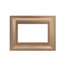 Anchor Ziva 3 Module Brass Cover Plate With Base Frame, 68903BR-image-19