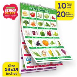 Aryans Eduworld Look N Learn Senior Chart - 20 Subjects Educational Calendar Flip Charts-25