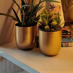 Inshreys Flower Pot Vase - Set of 2-33