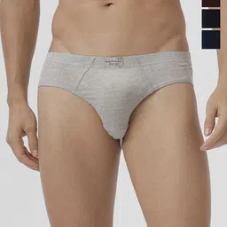 Ramraj Pack Of 4 Mid Rise Basic Briefs SURYIE_NYGMBLGW-4P-picture-24