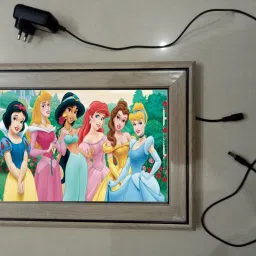 , CINDERELLA MODAL NO-75 , 15.5 inch LED PHOTO FRAME-24