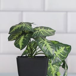 FOLIYAJ Green Arrowhead Plant Artificial Plant With Pot-picture-37