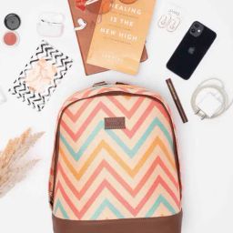 ZOUK Dome Daypack Multicolor Printed Mini Backpack-68