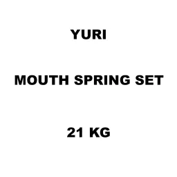 Yuri Mouth Spring Set Spare for Demolition & Breaker 21 KG-image-20