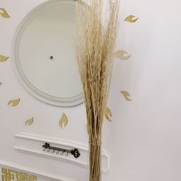 Myntra Elegant Homes Beige 1 Pieces Yucca Artificial Plant-image-61