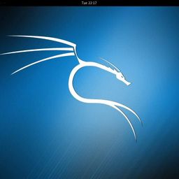 TechGuy4u 3 Linux Collection for Anonymous Browsing Privacy Security: Tails, Kali & BackBox on 16gb USB image 3
