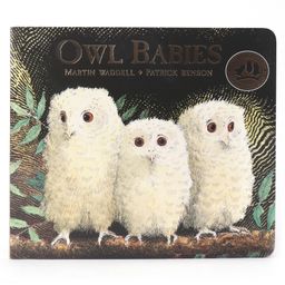 Owl Babies by Martin Waddell - English-11