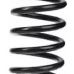Monroe Coil Spring for Tata Indigo Economy M16280110-picture-15