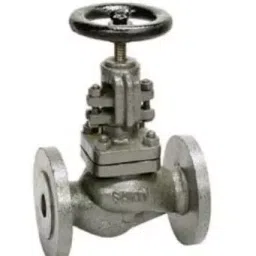 Sant 25 mm Cast Iron Globe Valve CI 1A-image-16