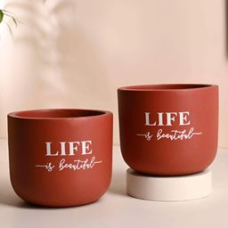 Floweraura 2-Pcs Brown & White Printed Teracotta PlantersPot-25